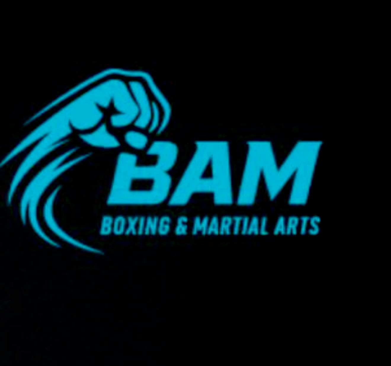 BAM Boxing & Martial Arts